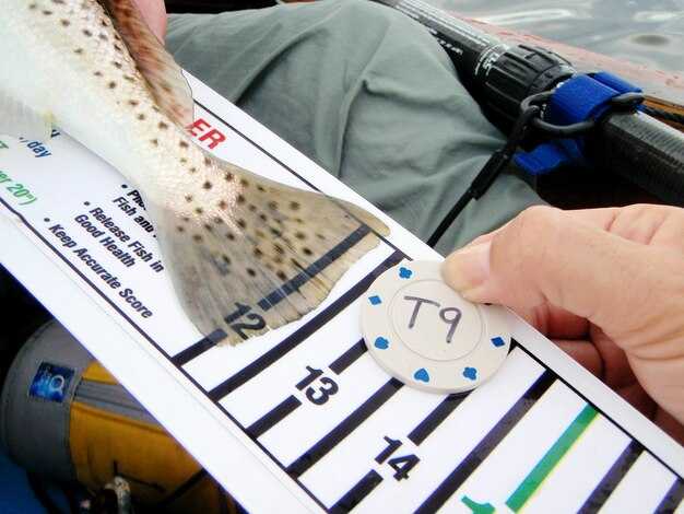 Шаг 1: Установка монтажной пластины