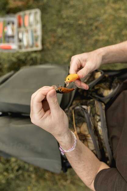 Оборудование и инструменты, необходимые для работы