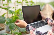 Электронная Нива — Новый Уровень Аграрных Технологий для Эффективного Земледелия