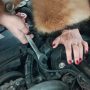 Как правильно адаптировать дроссельную заслонку на ВАЗ Калине — Поэтапная инструкция