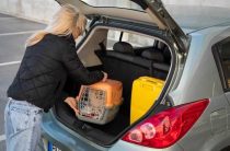 Не открывается замок багажника Peugeot 408 — Причины и Решения